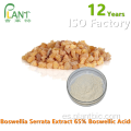 Polvo de extracto de Boswellia Serrata 65% 90% Ácido boswélico